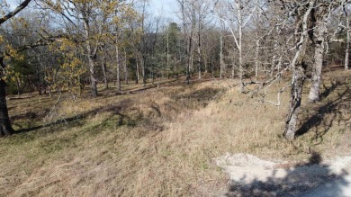 Perfect Setting for Your Getaway Retreat or Forever Home!! - photo 30