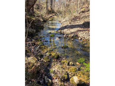 66 acres fenced and cross fenced with 9 pastures. 70x140 (9,800 - photo 30