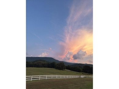 66 acres fenced and cross fenced with 9 pastures. 70x140 (9,800 - photo 33