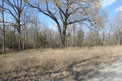 Perfect Setting for Your Getaway Retreat or Forever Home!! - photo 38