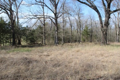 Perfect Setting for Your Getaway Retreat or Forever Home!! - photo 39