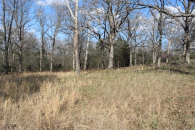 Perfect Setting for Your Getaway Retreat or Forever Home!! - photo 40