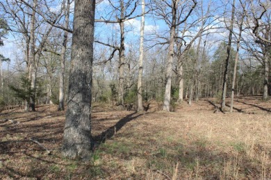 Perfect Setting for Your Getaway Retreat or Forever Home!! - photo 41