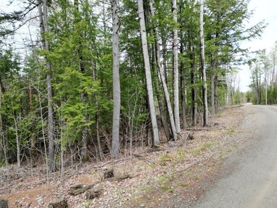 An exceptional opportunity near Center Pond, this 1.7-acre - photo 1