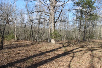 Perfect Setting for Your Getaway Retreat or Forever Home!! - photo 42