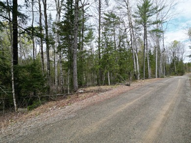 An exceptional opportunity near Center Pond, this 1.7-acre - photo 2