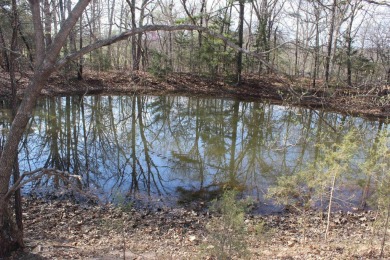 Perfect Setting for Your Getaway Retreat or Forever Home!! - photo 43