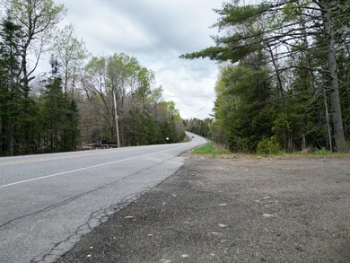 An exceptional opportunity near Center Pond, this 1.7-acre - photo 3