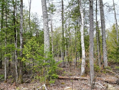 An exceptional opportunity near Center Pond, this 1.7-acre - photo 4