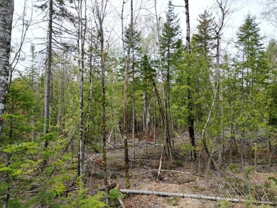 An exceptional opportunity near Center Pond, this 1.7-acre - photo 6