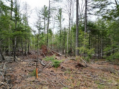 An exceptional opportunity near Center Pond, this 1.7-acre - photo 10