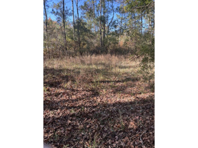 Lake Lot Sale Pending in Vernon, Florida