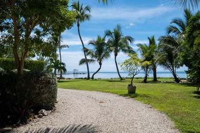 Welcome to Casa Mar Azul, a one-of-a-kind oceanfront estate - photo 25