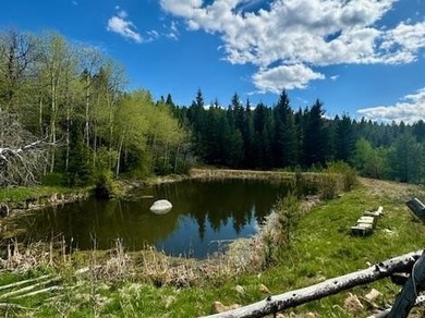 (private lake, pond, creek) Acreage For Sale in Anaconda Montana