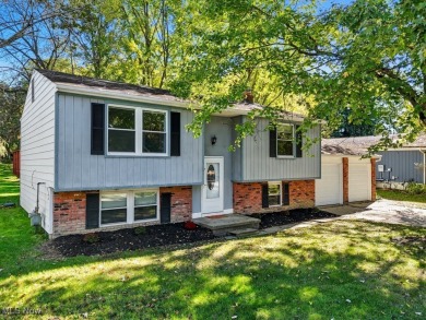 Lake Home For Sale in Aurora, Ohio