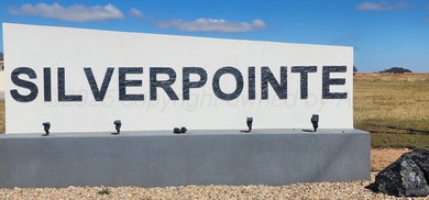Welcome to this spectacular Silverpointe estate, perfectly - photo 4