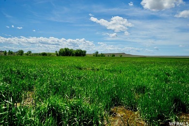 HISTORIC HAYSTACK RIVER RANCH: NORTH PLATTE RIVERFRONT LEGACY 92 - photo 8