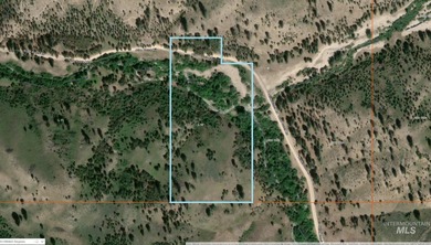 Lake Acreage For Sale in Prairie, Idaho
