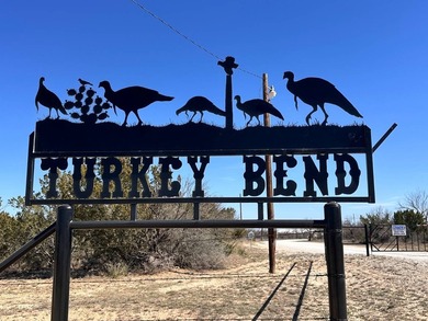 Lake Acreage For Sale in Millersview, Texas