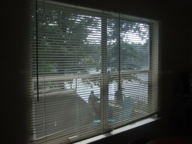Location, Location, Location!! This property has approximately - photo 11