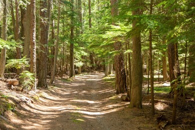 This rare private inholding within Glacier National Park - photo 8