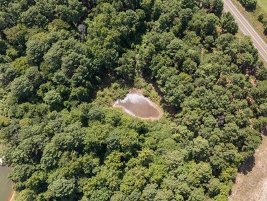 Check out these wooded tracts in a great location! Situated - photo 2