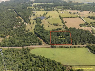 Check out these wooded tracts in a great location! Situated - photo 6