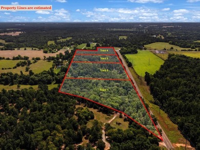 Check out these wooded tracts in a great location! Situated - photo 8