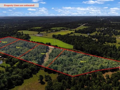 Check out these wooded tracts in a great location! Situated - photo 9