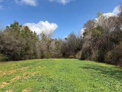 32 gorgeous acres are now available in Poplarville. This - photo 11