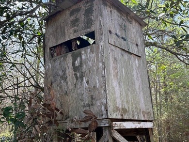 32 gorgeous acres are now available in Poplarville. This - photo 13