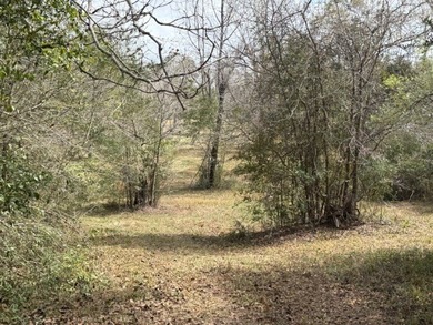32 gorgeous acres are now available in Poplarville. This - photo 15