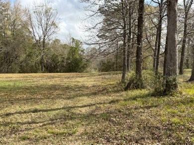 32 gorgeous acres are now available in Poplarville. This - photo 16