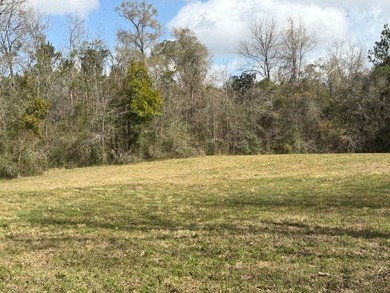 32 gorgeous acres are now available in Poplarville. This - photo 17