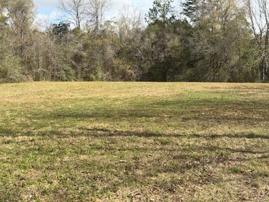 32 gorgeous acres are now available in Poplarville. This - photo 18