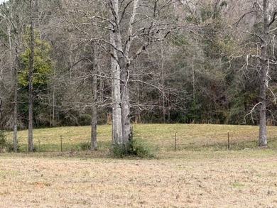 32 gorgeous acres are now available in Poplarville. This - photo 20