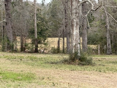 32 gorgeous acres are now available in Poplarville. This - photo 21
