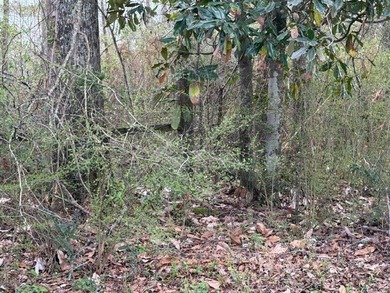 32 gorgeous acres are now available in Poplarville. This - photo 22