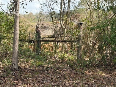 32 gorgeous acres are now available in Poplarville. This - photo 23
