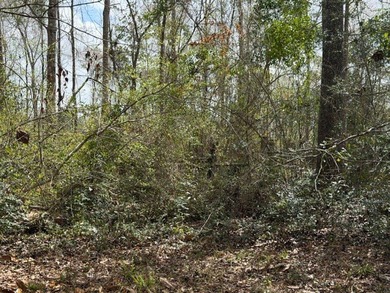 32 gorgeous acres are now available in Poplarville. This - photo 24
