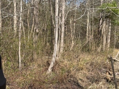 32 gorgeous acres are now available in Poplarville. This - photo 25