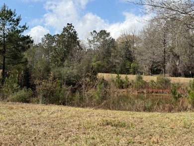 32 gorgeous acres are now available in Poplarville. This - photo 26