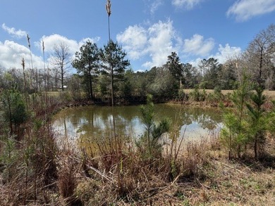 32 gorgeous acres are now available in Poplarville. This - photo 27