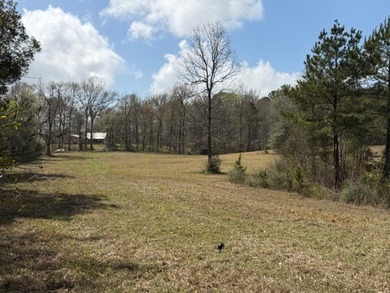 32 gorgeous acres are now available in Poplarville. This - photo 28
