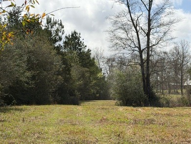 32 gorgeous acres are now available in Poplarville. This - photo 29