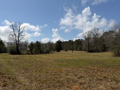 32 gorgeous acres are now available in Poplarville. This - photo 30