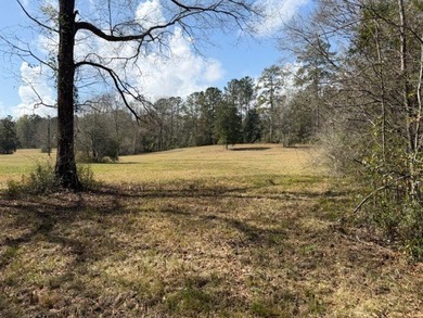 32 gorgeous acres are now available in Poplarville. This - photo 31