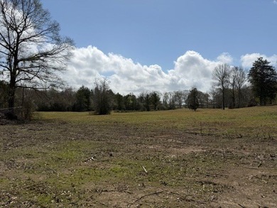 32 gorgeous acres are now available in Poplarville. This - photo 32