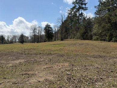 32 gorgeous acres are now available in Poplarville. This - photo 33