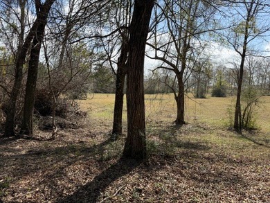 32 gorgeous acres are now available in Poplarville. This - photo 34